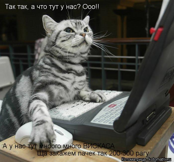 Так так, а что тут у нас? Ооо!! А у нас тут мноого много ВИСКАСА Ща закажем пачек так 200-300 рагу... Котоматрица: Так так, а что тут у нас? Ооо!! А у нас тут мноого много ВИСКАСА Ща закажем пачек так 200-300 рагу