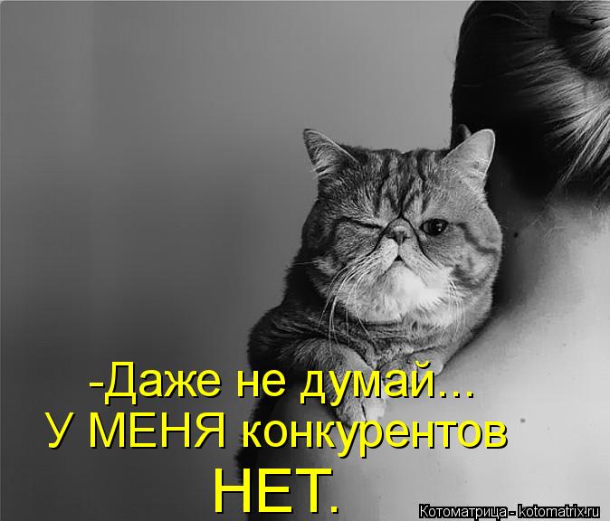 У МЕНЯ конкурентов НЕТ. -Даже не думай...... Котоматрица: У МЕНЯ конкурентов НЕТ. -Даже не думай...