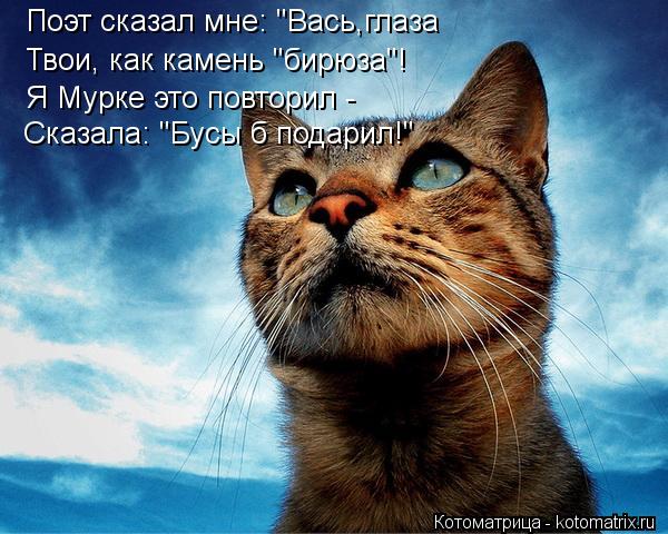 Котоматрица: Поэт сказал мне: "Вась,глаза Твои, как камень "бирюза"! Я Мурке это повторил - Сказала: "Бусы б подарил!"