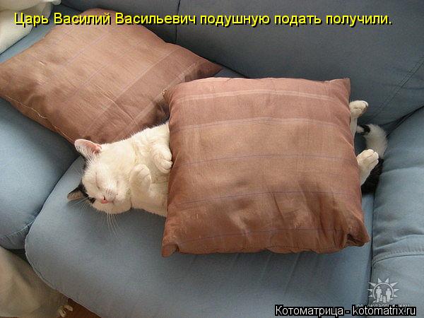 Царь Василий Васильевич подушную подать получили.... Котоматрица: Царь Василий Васильевич подушную подать получили.