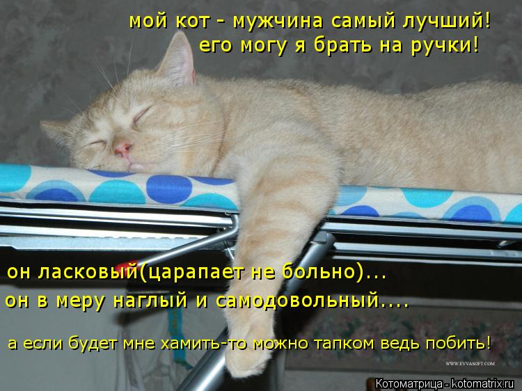 мой кот - мужчина самый лучший! его могу я брать на ручки! он ласковый(царапает не больно)... он в ме... Котоматрица: мой кот - мужчина самый лучший! его могу я брать на ручки! он ласковый(царапает не больно)... он в меру наглый и самодовольный.... а если будет мн