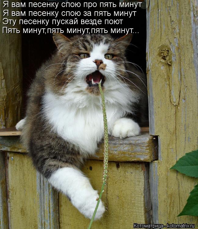Я вам песенку спою про пять минут Я вам песенку спою за пять минут Эту песенку пускай везде поют Пять... Котоматрица: Я вам песенку спою про пять минут Я вам песенку спою за пять минут Эту песенку пускай везде поют Пять минут,пять минут,пять минут...