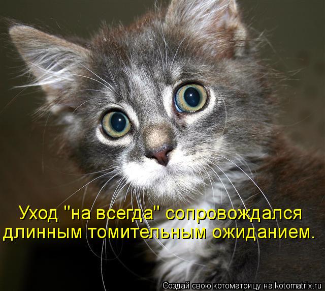 Уход "на всегда" сопровождался длинным томительным ожиданием.... Котоматрица: Уход "на всегда" сопровождался длинным томительным ожиданием.