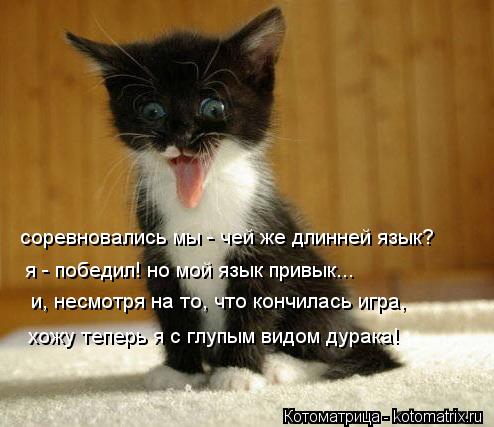 соревновались мы - чей же длинней язык? я - победил! но мой язык привык... и, несмотря на то, что ко... Котоматрица: соревновались мы - чей же длинней язык? я - победил! но мой язык привык... и, несмотря на то, что кончилась игра, хожу теперь я с глупым видом ду