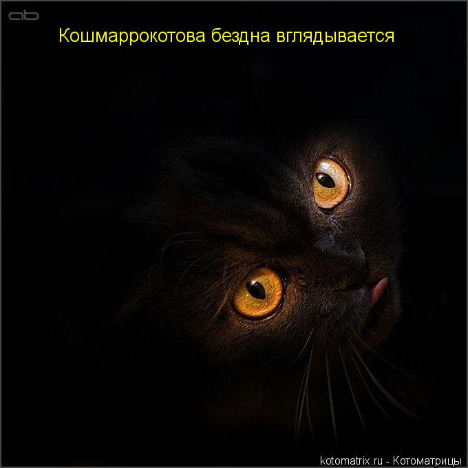 Котоматрица: Кошмаррокотова бездна вглядывается