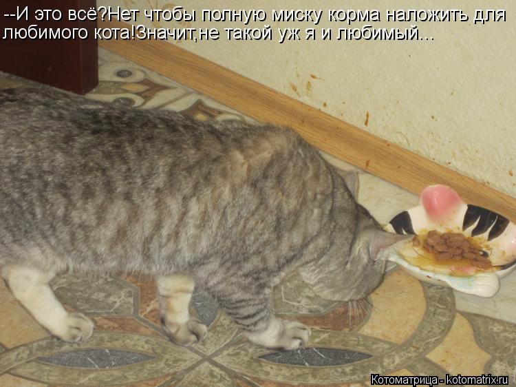 --И это всё?Нет чтобы полную миску корма наложить для любимого кота!Значит,не такой уж я и любимый...... Котоматрица: --И это всё?Нет чтобы полную миску корма наложить для любимого кота!Значит,не такой уж я и любимый...