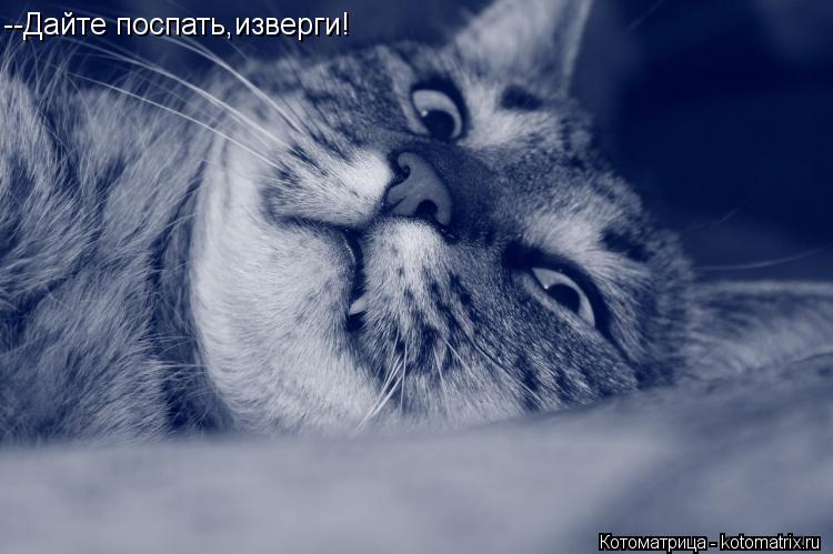 --Дайте поспать,изверги!... Котоматрица: --Дайте поспать,изверги!