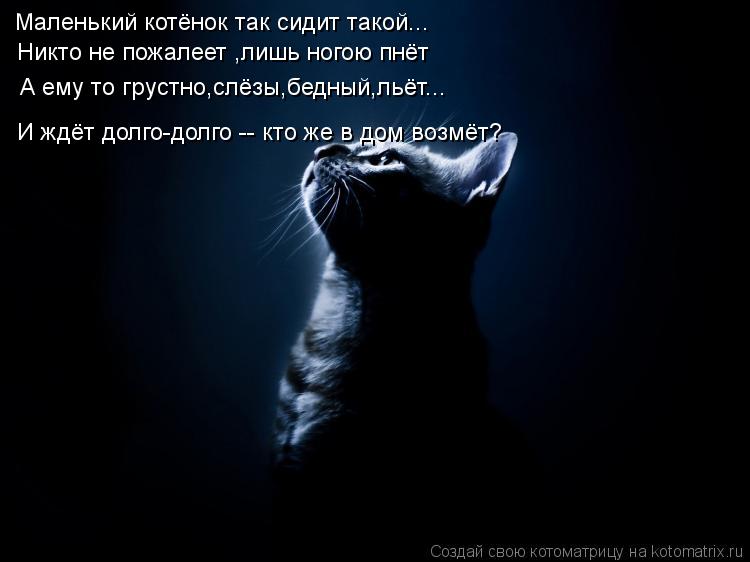 Маленький котёнок так сидит такой... Никто не пожалеет ,лишь ногою пнёт А ему то грустно,слёзы,бедный... Котоматрица: Маленький котёнок так сидит такой... Никто не пожалеет ,лишь ногою пнёт А ему то грустно,слёзы,бедный,льёт... И ждёт долго-долго -- кто же в дом
