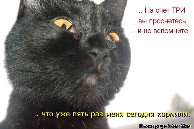 .. На счет ТРИ .. вы проснетесь.. .. и не вспомните.. .. что уже пять раз меня сегодня кормили. .. ч... Котоматрица: .. На счет ТРИ .. вы проснетесь.. .. и не вспомните.. .. что уже пять раз меня сегодня кормили. .. что уже пять раз меня сегодня кормили.