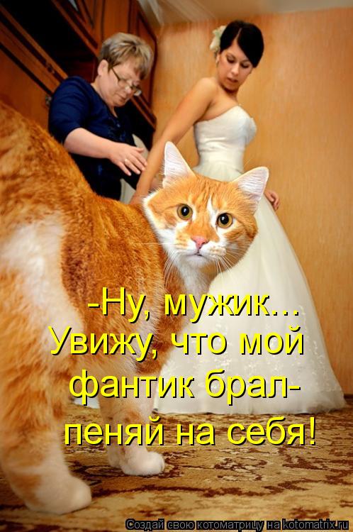 -Ну, мужик... Увижу, что мой фантик брал- пеняй на себя!... Котоматрица: -Ну, мужик... Увижу, что мой фантик брал- пеняй на себя!
