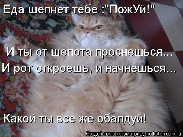 Еда шепнет тебе :"ПожУй!" И ты от шепота проснешься... И рот откроешь, и начнешься... Какой ты все же... Котоматрица: Еда шепнет тебе :"ПожУй!" И ты от шепота проснешься... И рот откроешь, и начнешься... Какой ты все же обалдуй!