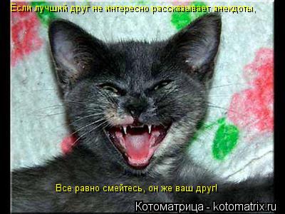 Котоматрица: Если лучший друг не интересно рассказывает анекдоты, Все равно смейтесь, он же ваш друг!