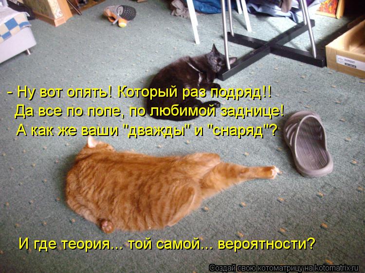 - Ну вот опять! Который раз подряд!! Да все по попе, по любимой заднице! А как же ваши "дважды" и "сн... Котоматрица: - Ну вот опять! Который раз подряд!! Да все по попе, по любимой заднице! А как же ваши "дважды" и "снаряд"? И где теория... той самой... вероятности?