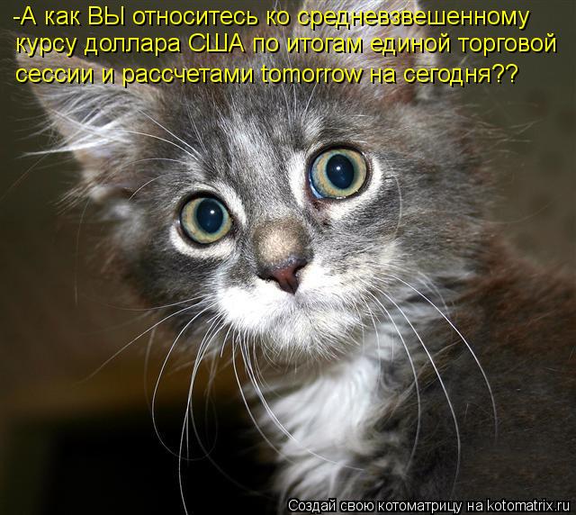 -А как ВЫ относитесь ко средневзвешенному курсу доллара США по итогам единой торговой сессии и расс... Котоматрица: -А как ВЫ относитесь ко средневзвешенному курсу доллара США по итогам единой торговой сессии и рассчетами tomorrow на сегодня??