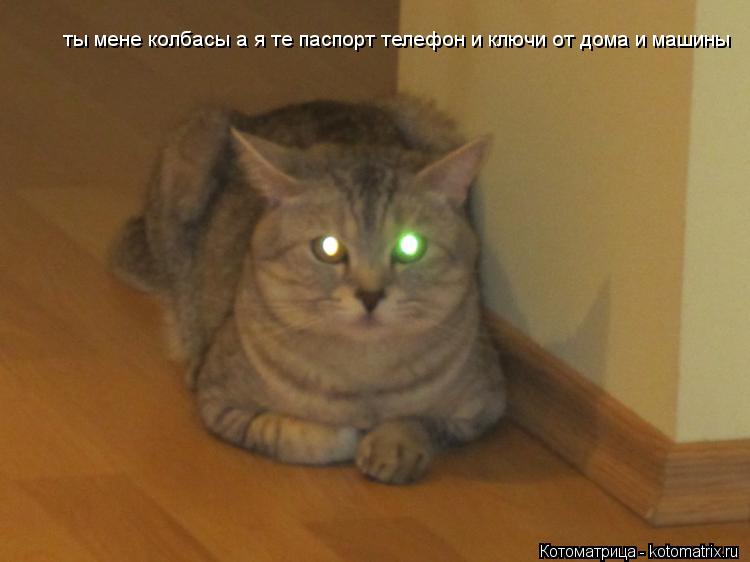 ты мене колбасы а я те паспорт телефон и ключи от дома и машины... Котоматрица: ты мене колбасы а я те паспорт телефон и ключи от дома и машины