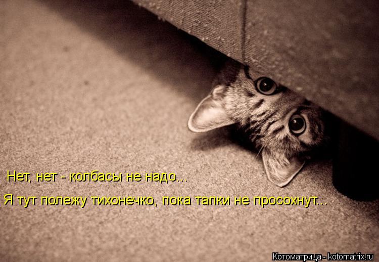 Нет, нет - колбасы не надо... Я тут полежу тихонечко, пока тапки не просохнут...... Котоматрица: Нет, нет - колбасы не надо... Я тут полежу тихонечко, пока тапки не просохнут...