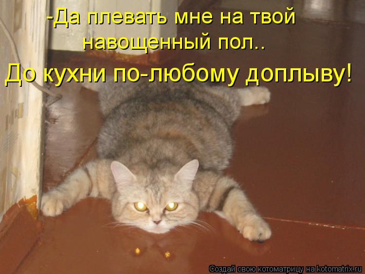 Котоматрица: -Да плевать мне на твой  До кухни по-любому доплыву! навощенный пол..