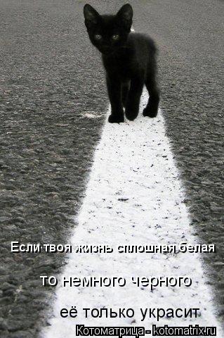 Если твоя жизнь сплошная белая то немного черного её только украсит... Котоматрица: Если твоя жизнь сплошная белая то немного черного её только украсит