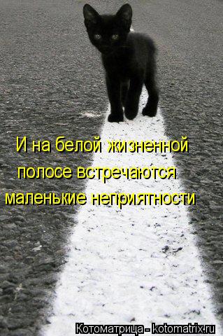 Котоматрица: И на белой жизненной полосе встречаются маленькие неприятности
