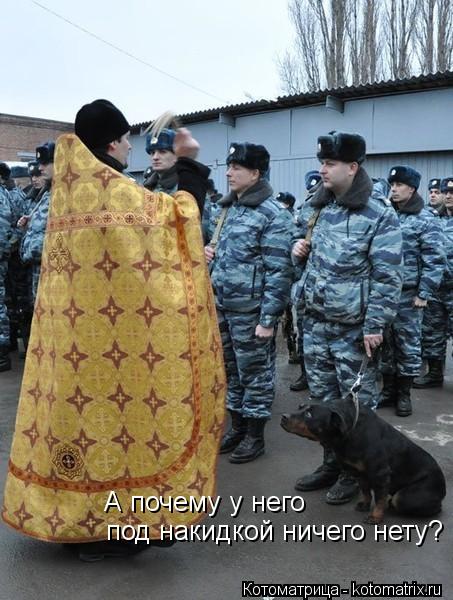 Котоматрица: А почему у него  под накидкой ничего нету?