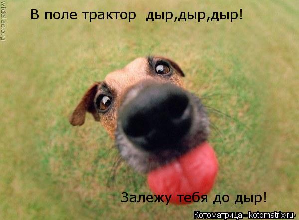 В поле трактор дыр,дыр,дыр! Залежу тебя до дыр!... Котоматрица: В поле трактор дыр,дыр,дыр! Залежу тебя до дыр!