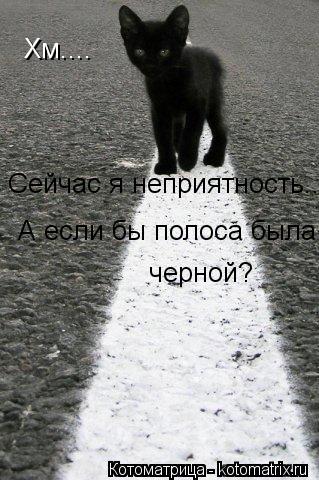Котоматрица: Хм.... Сейчас я неприятность... А если бы полоса была  черной?