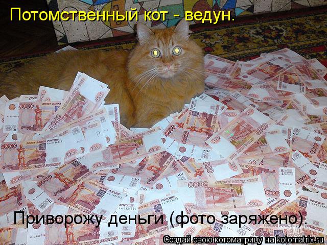 Котоматрица: Потомственный кот - ведун. Приворожу деньги (фото заряжено).