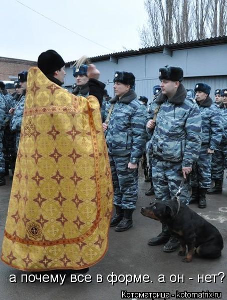 Котоматрица: а почему все в форме. а он - нет?