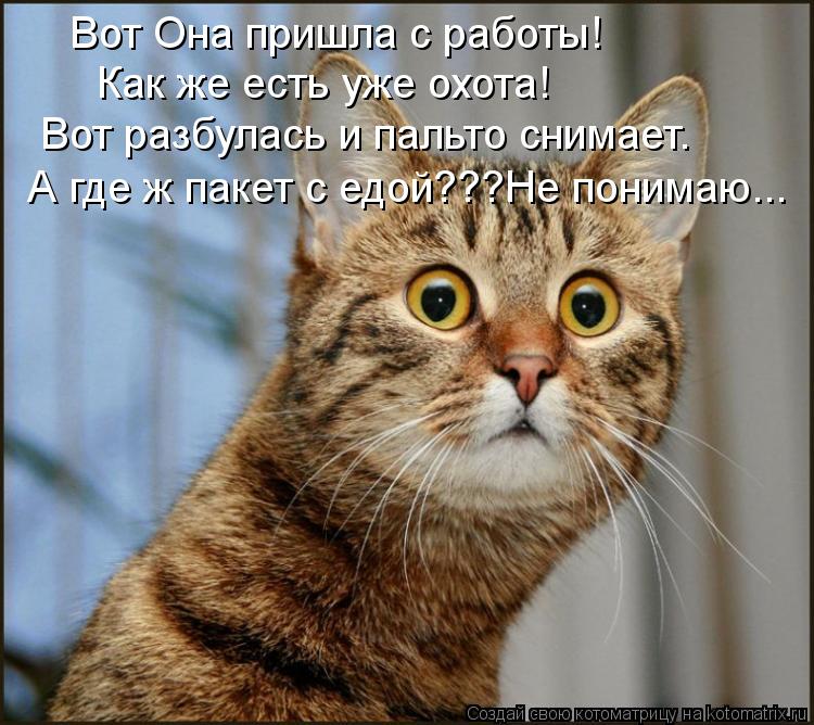 Котоматрица: Вот Она пришла с работы! Как же есть уже охота! Вот разбулась и пальто снимает. А где ж пакет с едой???Не понимаю...