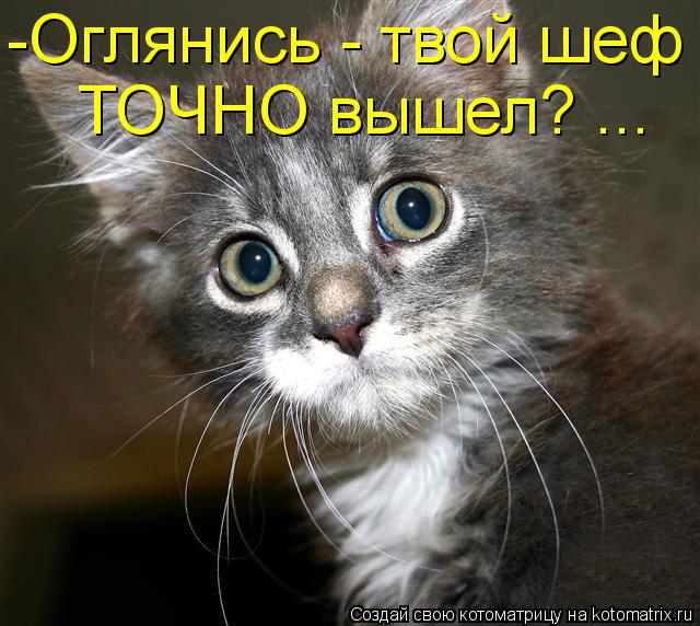 -Оглянись - твой шеф ТОЧНО вышел? ...... Котоматрица: -Оглянись - твой шеф ТОЧНО вышел? ...