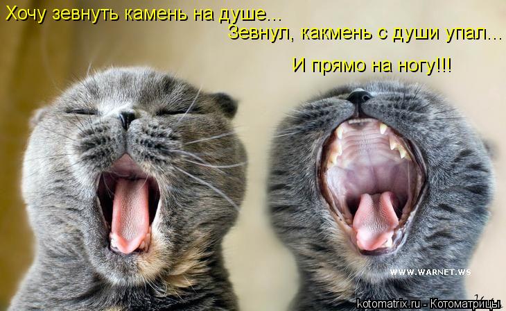 Котоматрица: Хочу зевнуть камень на душе... Зевнул, какмень с души упал...  И прямо на ногу!!!