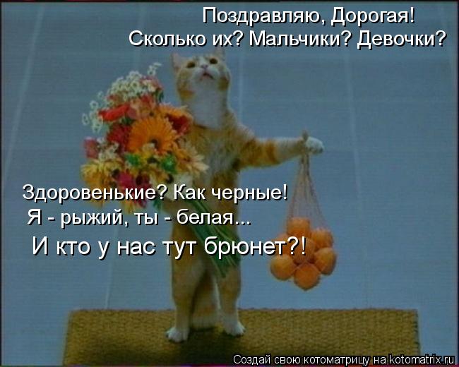 Поздравляю, Дорогая! Сколько их? Мальчики? Девочки? Здоровенькие? Как черные! Я - рыжий, ты - белая..... Котоматрица: Поздравляю, Дорогая! Сколько их? Мальчики? Девочки? Здоровенькие? Как черные! Я - рыжий, ты - белая... И кто у нас тут брюнет?!