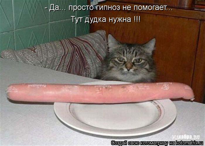 Котоматрица: - Да... просто гипноз не помогает... Тут дудка нужна !!!