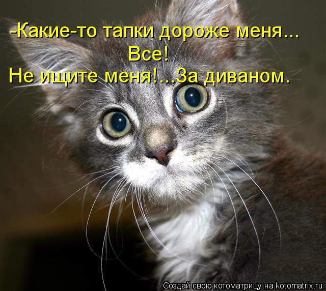 Котоматрица: Не ищите меня!...За диваном. Все!  -Какие-то тапки дороже меня...