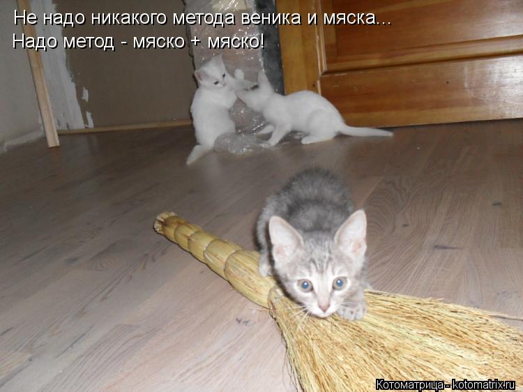 Котоматрица: Не надо никакого метода веника и мяска... Надо метод - мяско + мяско!