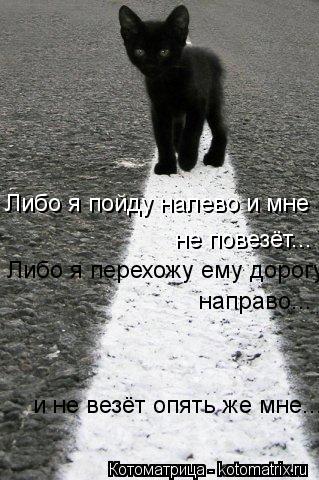 Котоматрица: Либо я пойду налево и мне  не повезёт... Либо я перехожу ему дорогу  направо... и не везёт опять же мне...