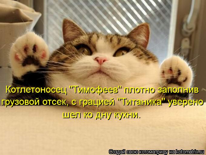 Котлетоносец "Тимофеев" плотно заполнив грузовой отсек, с грацией "Титаника" уверено шел ко дну кухни... Котоматрица: Котлетоносец "Тимофеев" плотно заполнив грузовой отсек, с грацией "Титаника" уверено шел ко дну кухни.