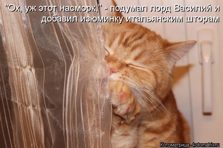 "Ох, уж этот насморк," - подумал лорд Василий и добавил изюминку итальянским шторам... Котоматрица: "Ох, уж этот насморк," - подумал лорд Василий и добавил изюминку итальянским шторам
