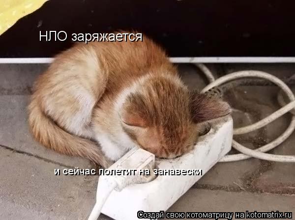 Котоматрица: НЛО заряжается и сейчас полетит на занавески