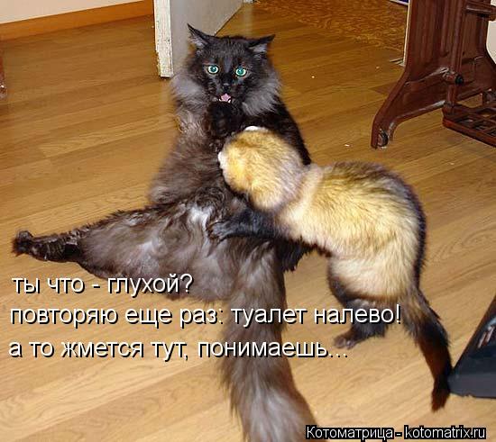 Котоматрица: ты что - глухой? повторяю еще раз: туалет налево! а то жмется тут, понимаешь...