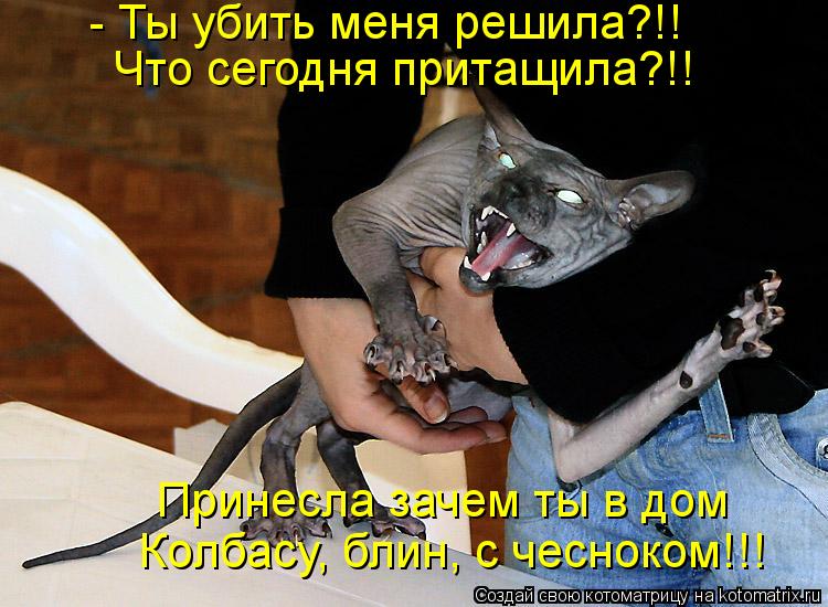 - Ты убить меня решила?!! Что сегодня притащила?!! Принесла зачем ты в дом Колбасу, блин, с чесноком!... Котоматрица: - Ты убить меня решила?!! Что сегодня притащила?!! Принесла зачем ты в дом Колбасу, блин, с чесноком!!!
