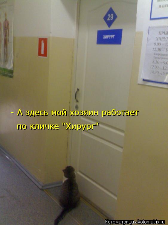 Котоматрица: - А здесь мой хозяин работает по кличке "Хирург"