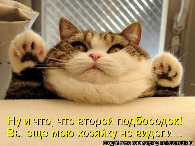 Ну и что, что второй подбородок! Вы еще мою хозяйку не видели...... Котоматрица: Ну и что, что второй подбородок! Вы еще мою хозяйку не видели...
