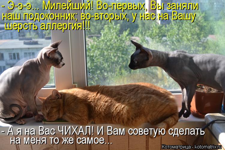 - Э-э-э... Милейший! Во-первых, Вы заняли наш подоконник; во-вторых, у нас на Вашу шерсть аллергия!!!... Котоматрица: - Э-э-э... Милейший! Во-первых, Вы заняли наш подоконник; во-вторых, у нас на Вашу шерсть аллергия!!! - А я на Вас ЧИХАЛ! И Вам советую сделать на ме