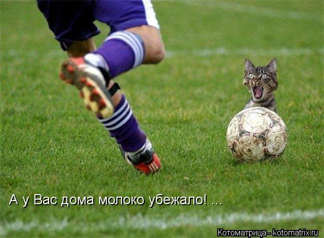 А у Вас дома молоко убежало! ...... Котоматрица: А у Вас дома молоко убежало! ...
