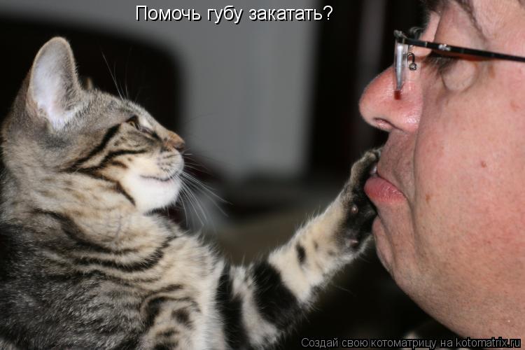 Помочь губу закатать?... Котоматрица: Помочь губу закатать?