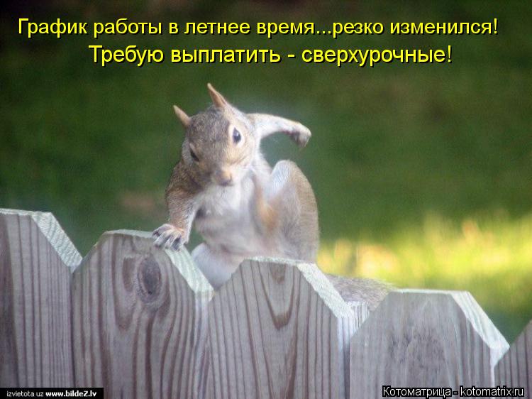 График работы в летнее время...резко изменился! Требую выплатить - сверхурочные!... Котоматрица: График работы в летнее время...резко изменился! Требую выплатить - сверхурочные!
