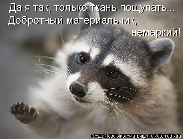 Да я так, только ткань пощупать... Добротный материальчик, немаркий!... Котоматрица: Да я так, только ткань пощупать... Добротный материальчик, немаркий!