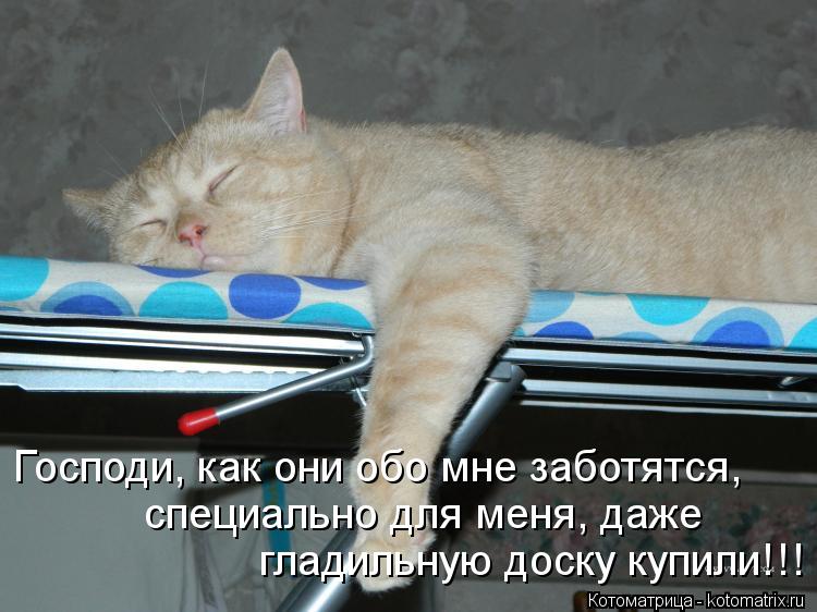 Котоматрица: Господи, как они обо мне заботятся, специально для меня, даже  гладильную доску купили!!!