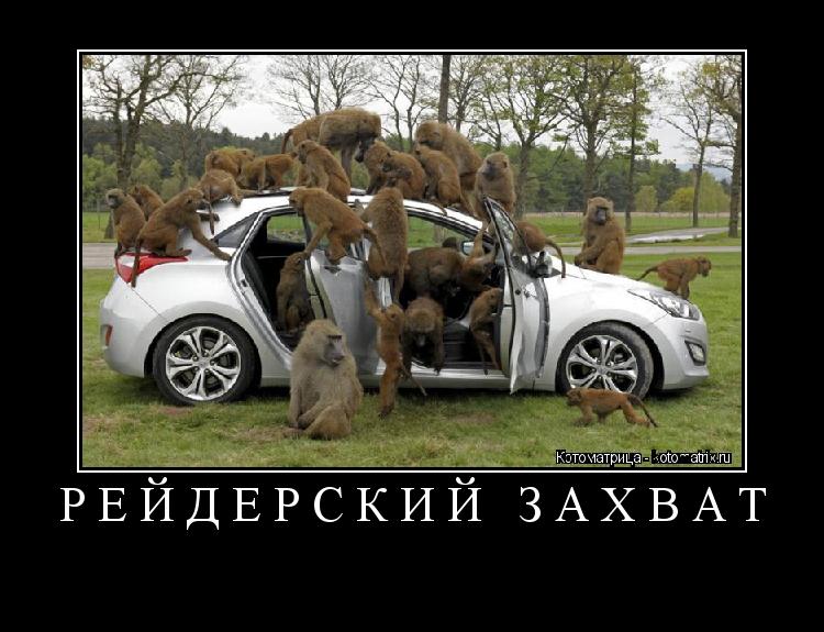 Рейдерский захват ... Котоматрица: Рейдерский захват